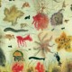 Underwater World