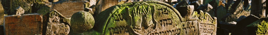 [subpage-banner/2_pamatkyaexpozice_1.png]